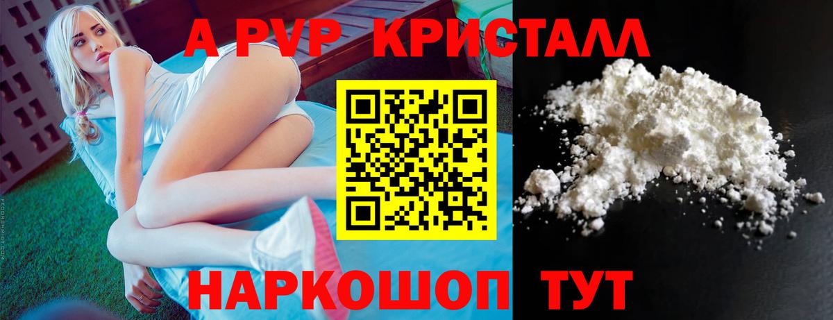 Альфа ПВП СК Асино
