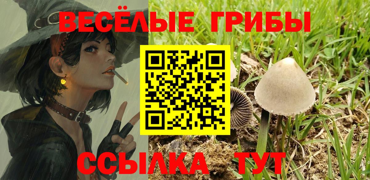 Асино  Галлюциногенные грибы GOLDEN TEACHER  Вход с VPN 